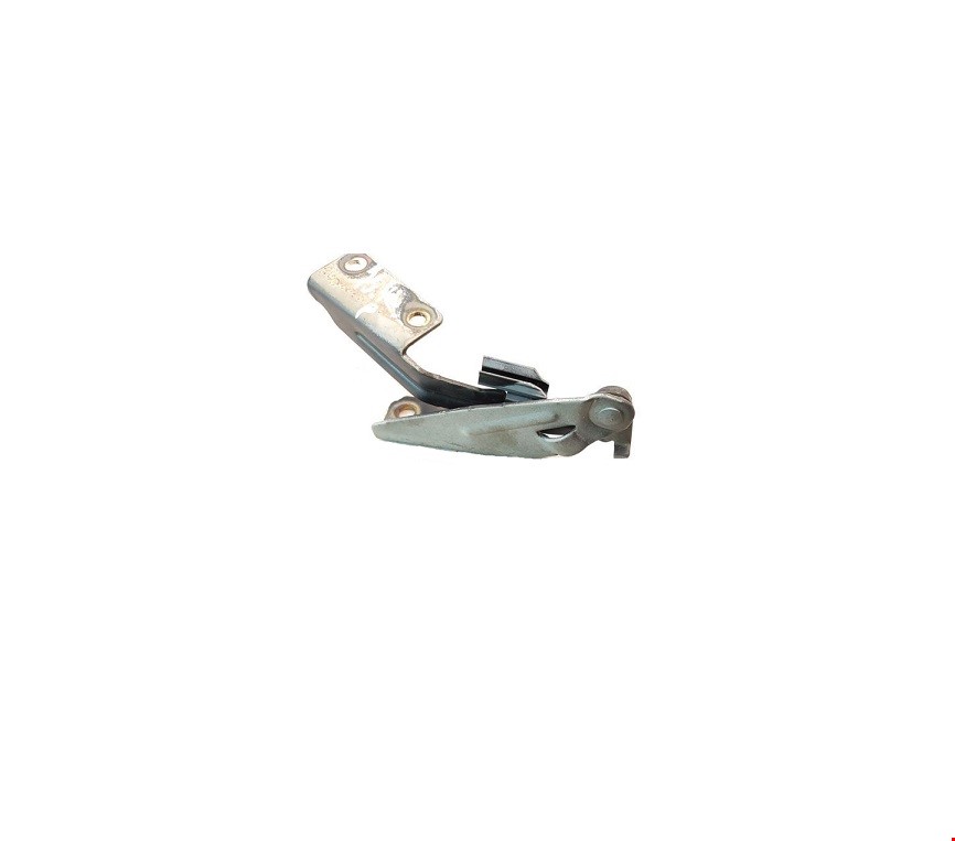 Ford Focus Kaput Menteşesi Sağ Focus 1998- Psaparcam XS4116800AE